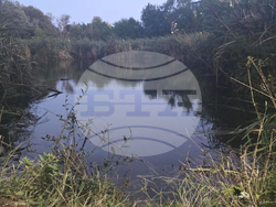 Протест - Боянско блато