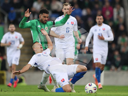 Northern Ireland Slovakia WCup Soccer
