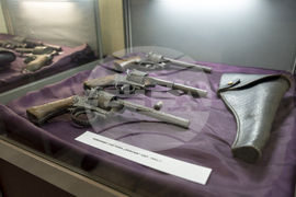 Добрич - изложба "За свободата Българска" - Снимка: Александра Антонова 