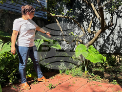 Roman-Headstone-Discovery
