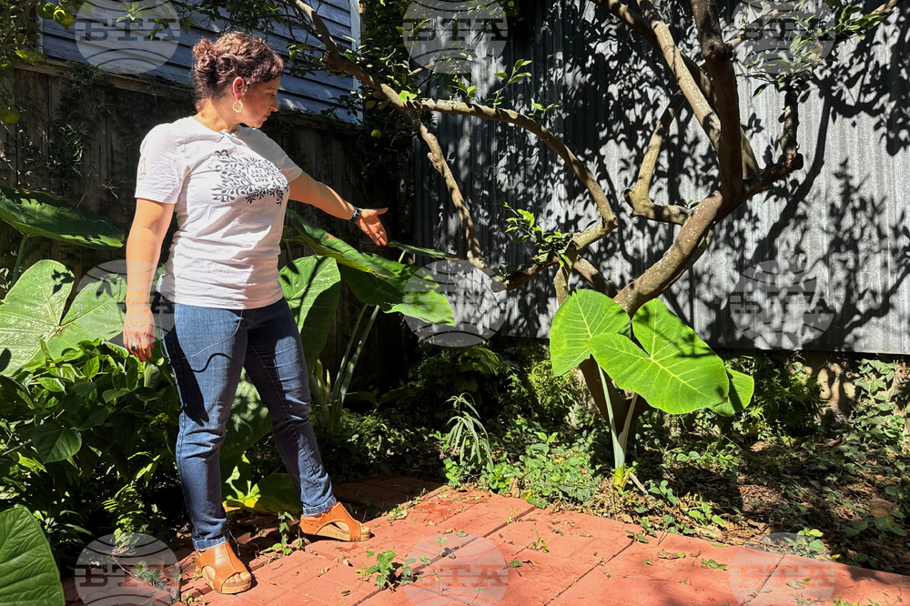 Отдавна изгубен древноримски артефакт бе открит в задния двор на къща в Ню Орлиънс