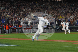 ALDS Tigers Mariners Baseball