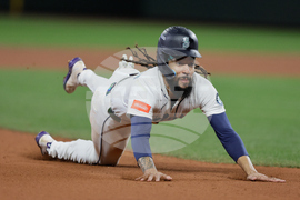 ALDS Tigers Mariners Baseball