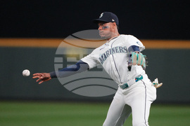 ALDS Tigers Mariners Baseball