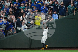 ALDS Tigers Mariners Baseball