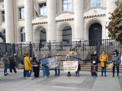 Протест - „Гласът на народа срещу насилието над деца“