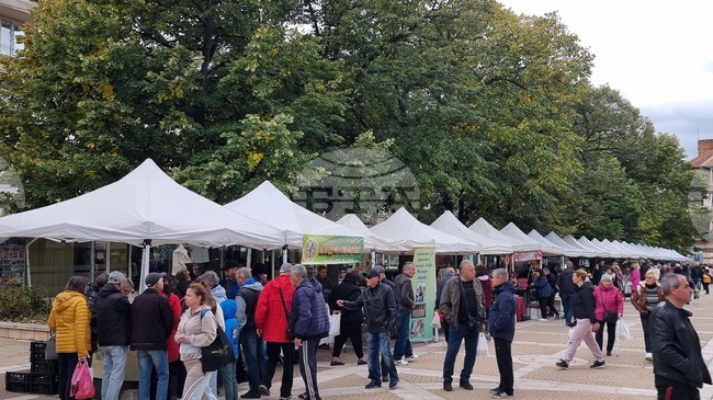 Фермерско-занаятчийско изложение в Ямбол събира местни производители от региона за 42-ри път