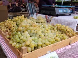 Ямбол - фермерско-занаятчийско изложение