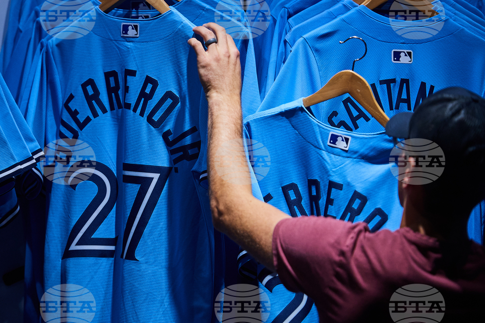ALCS Blue Jays Fans Baseball