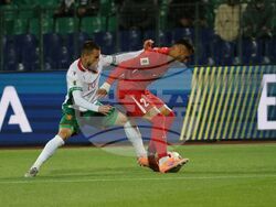 Футбол - Световни квалификации - България - Турция