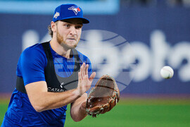 ALCS Blue Jays Baseball
