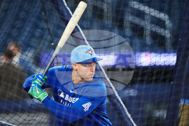 ALCS Blue Jays Baseball