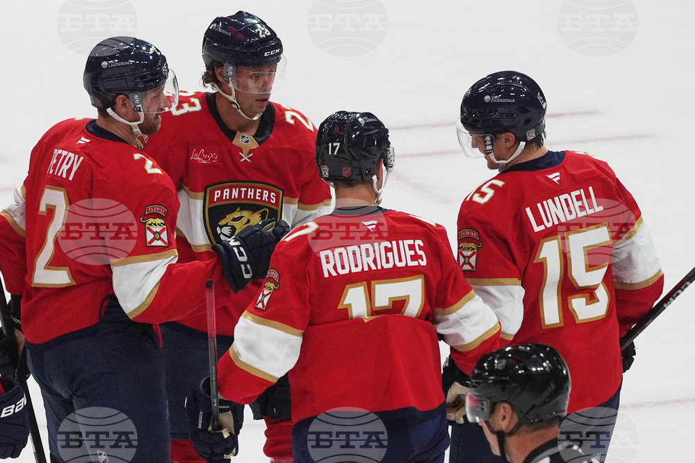Senators Panthers Hockey