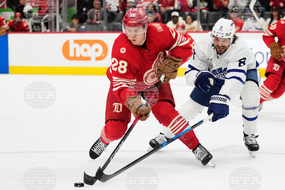 Maple Leafs Red Wings Hockey