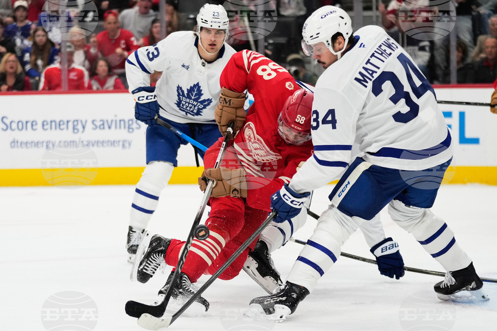 Maple Leafs Red Wings Hockey