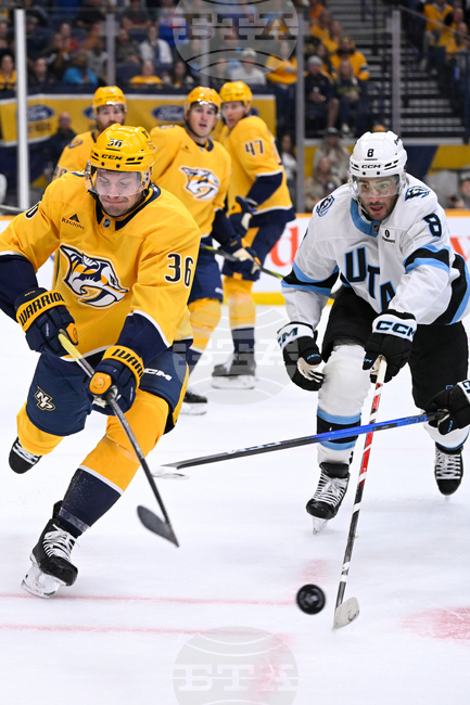 Mammoth Predators Hockey