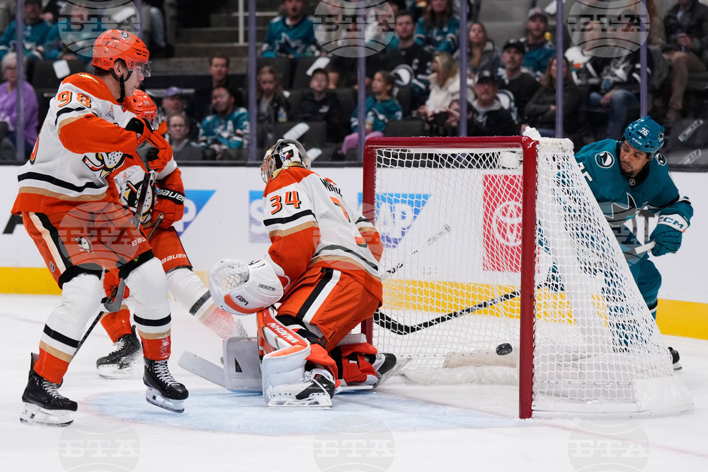 Ducks Sharks Hockey