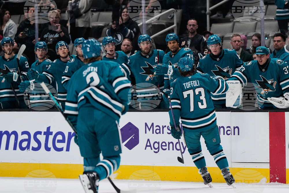 Ducks Sharks Hockey