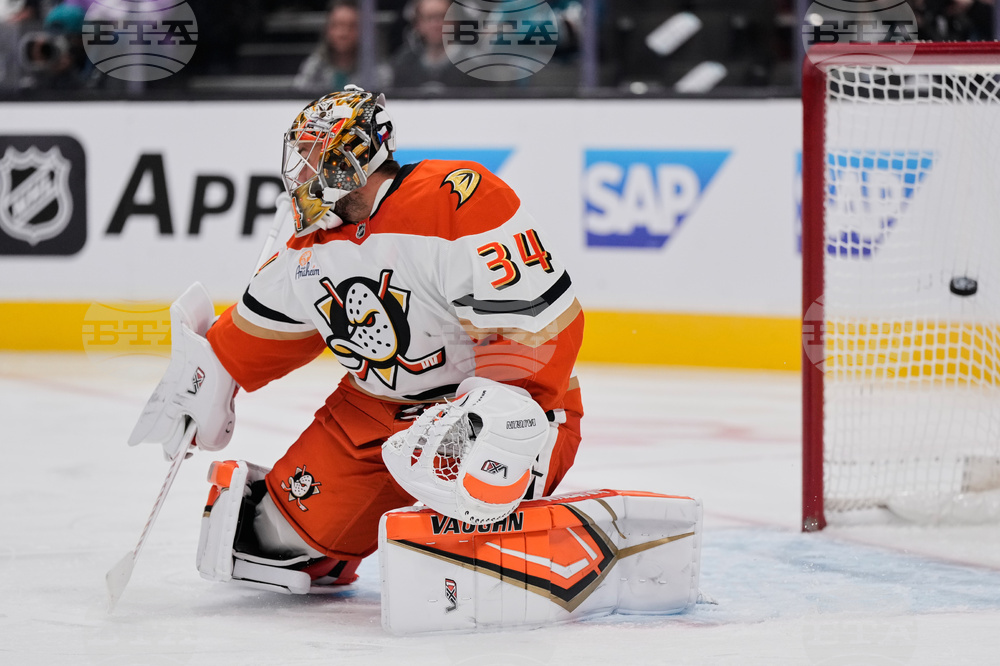 Ducks Sharks Hockey