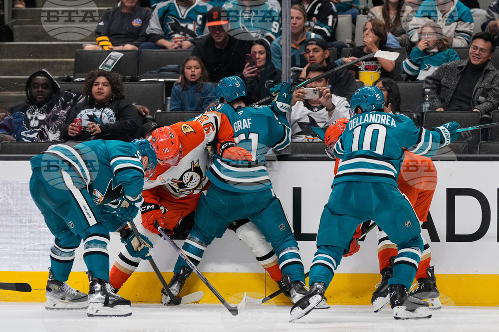 Ducks Sharks Hockey