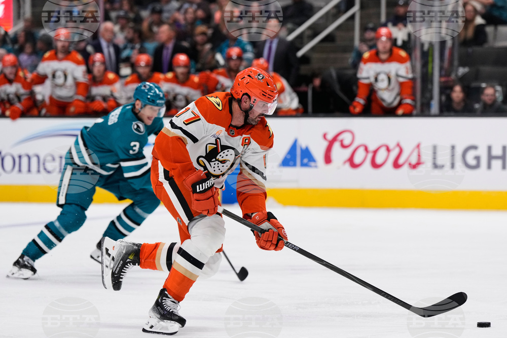 Ducks Sharks Hockey