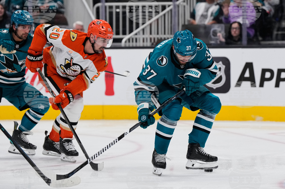Ducks Sharks Hockey