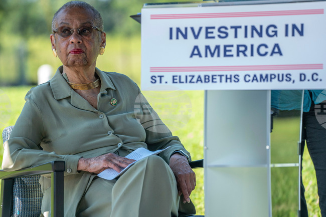 DC Federal Intervention Diminished Delegate