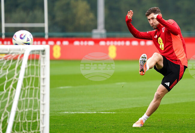 Защитникът на Тотнъм Бен Дейвис претърпя операция на глезена