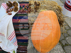 Село Коларово - "Фестивал на кестена"