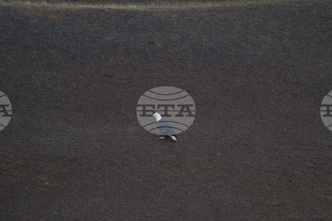 Washington Daily Life