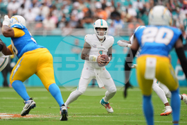 Chargers Dolphins Football