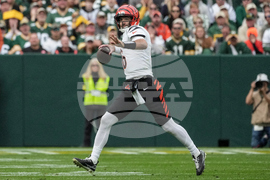 Bengals Packers Football
