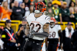 APTOPIX Bengals Packers Football
