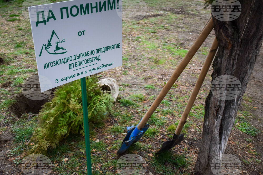 Благоевград - ЮЗДП - залесяване