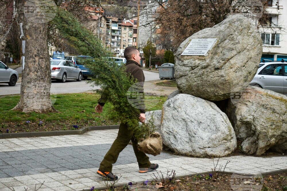 Благоевград - ЮЗДП - залесяване