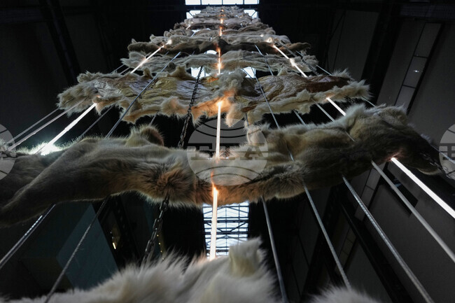 Britain Art Máret Ánne Sara