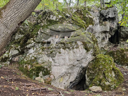 Перник - манастир „Св. Петка" - храмов празник - предстоящо