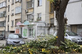 Ловеч - ЕРМ Запад - кастрене дървета