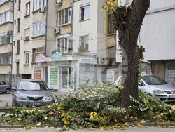 Ловеч - ЕРМ Запад - кастрене дървета