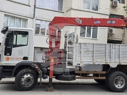 Ловеч - ЕРМ Запад - кастрене дървета