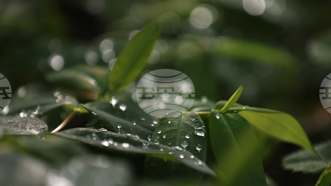 Прогноза за времето 