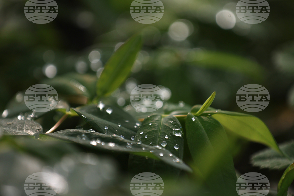 Прогноза за времето 