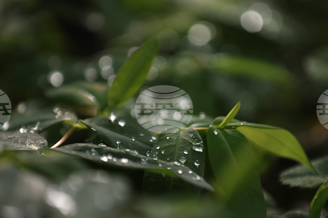 Прогноза за времето 
