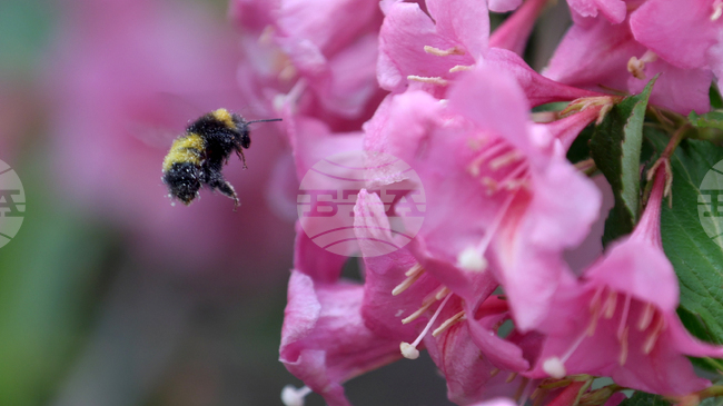 Прогноза за времето 