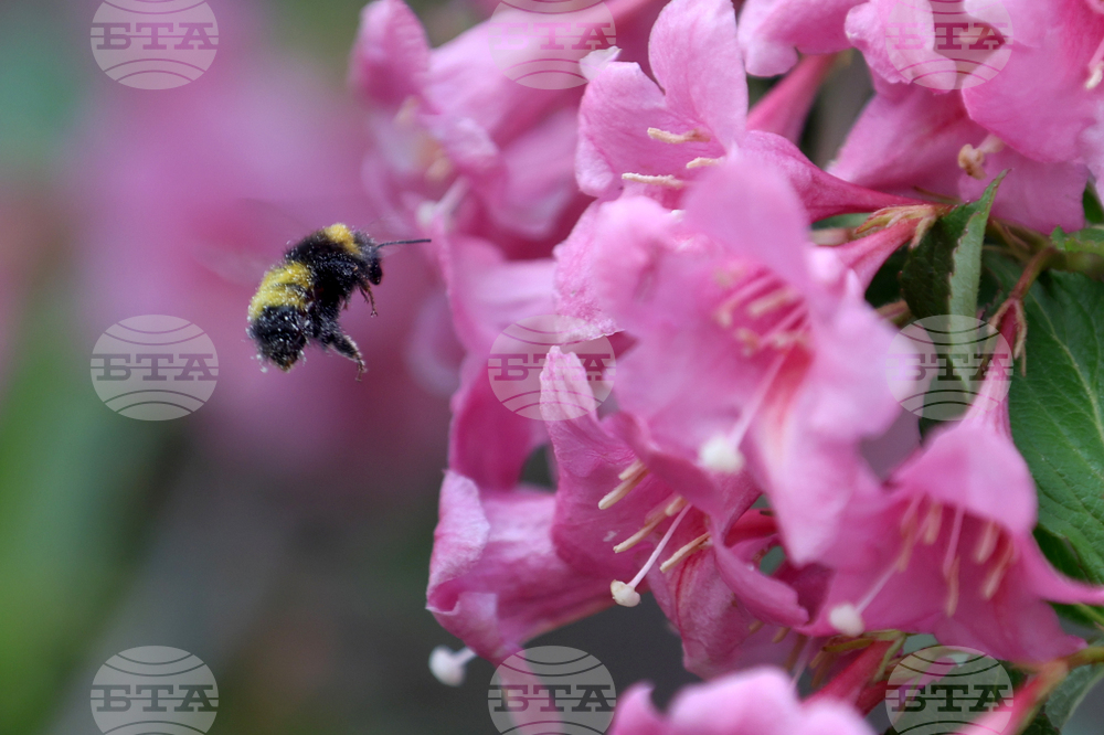 Прогноза за времето 