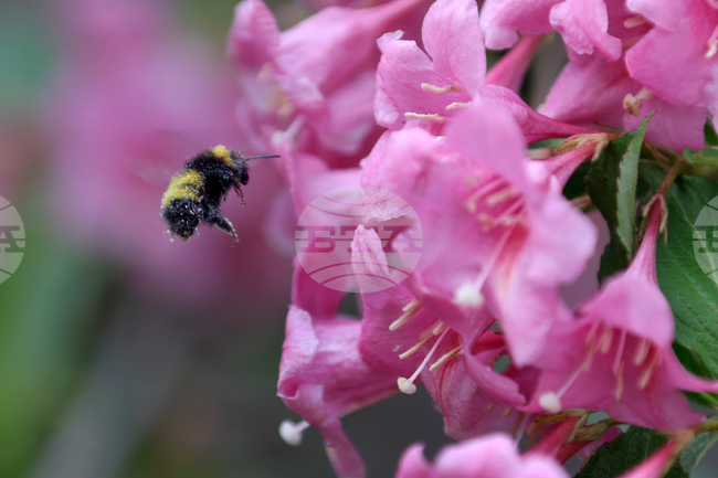 Прогноза за времето 