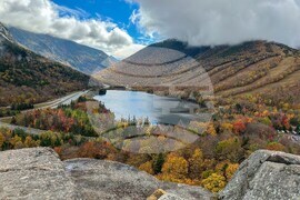 Fall Foliage-Drought