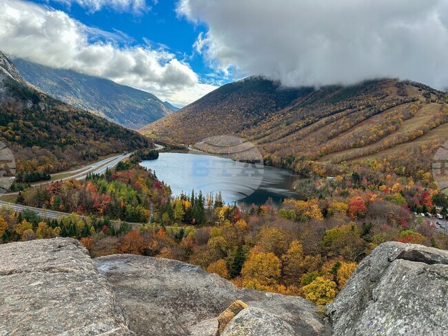 Fall Foliage-Drought