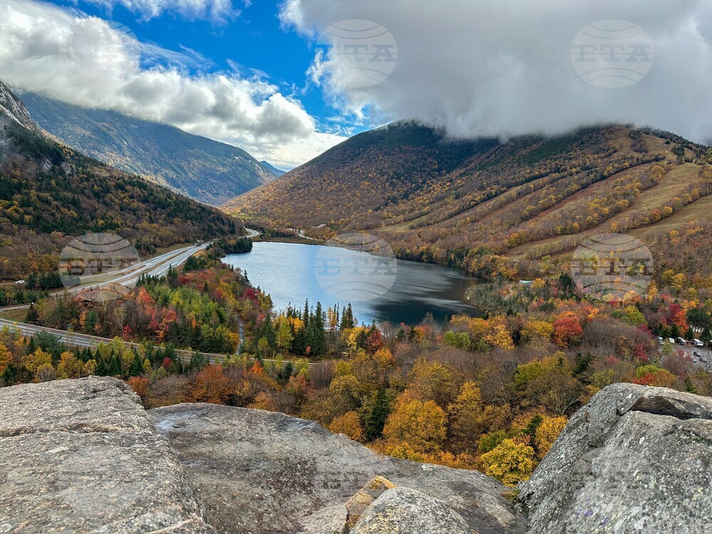 Fall Foliage-Drought