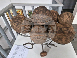 Троян - Есенен салон на троянските художници